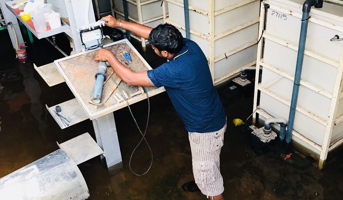 D' Kranji Farm Resort D' Kranji Farm Resort