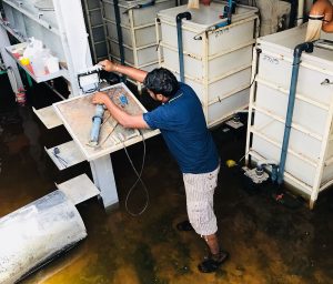 D' Kranji Farm Resort