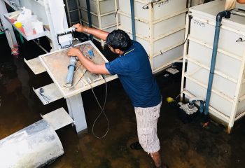 D' Kranji Farm Resort