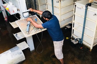 D' Kranji Farm Resort