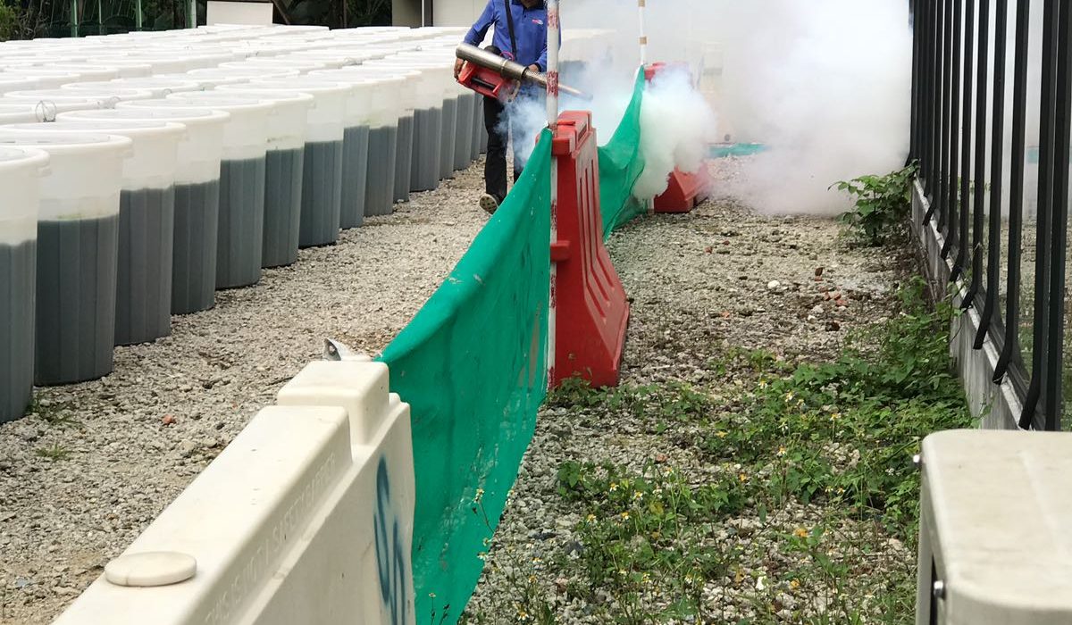 D' Kranji Farm Resort D' Kranji Farm Resort